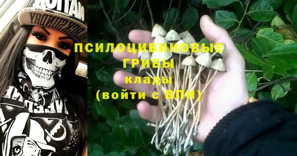 крисы Алзамай