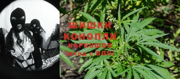 крисы Алзамай
