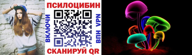магазин продажи   Лосино-Петровский  Псилоцибиновые грибы Psilocybine cubensis 