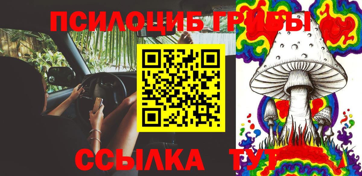 Псилоцибиновые грибы Magic Shrooms  Вход с VPN  Лосино-Петровский 